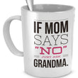 Grandma Coffee Mug - Funny Grandma Gift Idea - "If Mom Says No"