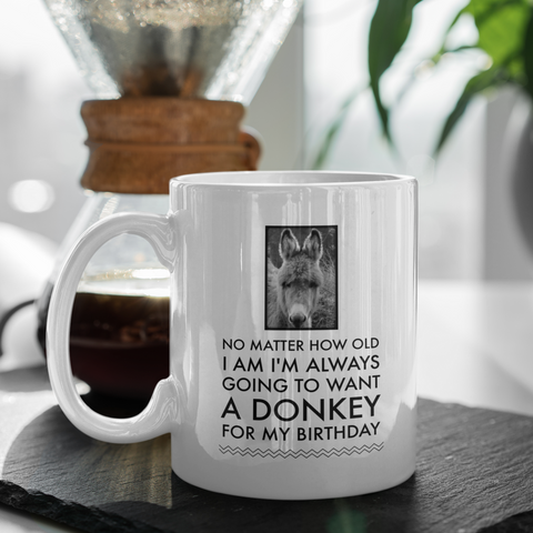 Donkey Mug - Birthday Gift For Donkey Lovers - Donkey Gifts For Women - 