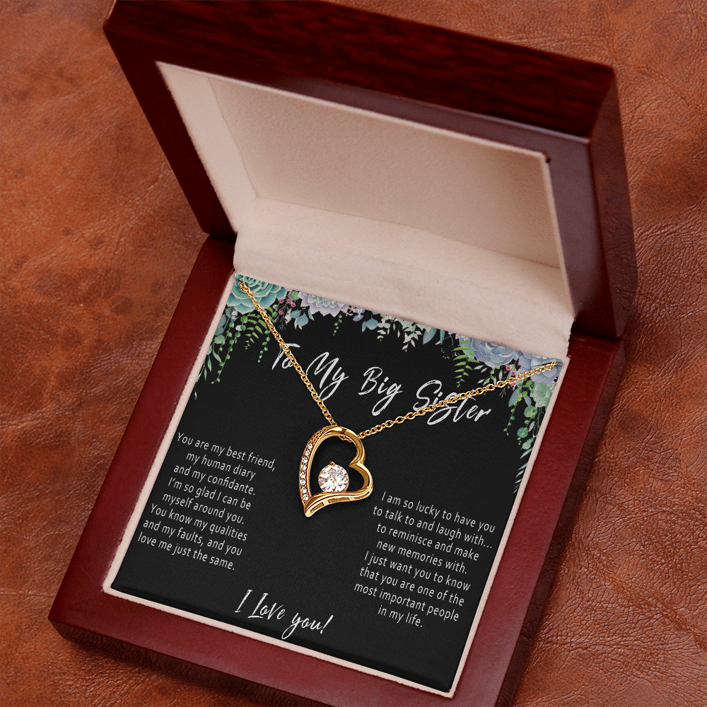 Big Sister Heart Necklace – Meaningful Sister Gift from Little Sister or Little Brother - "You are my best friend, human diary..."
