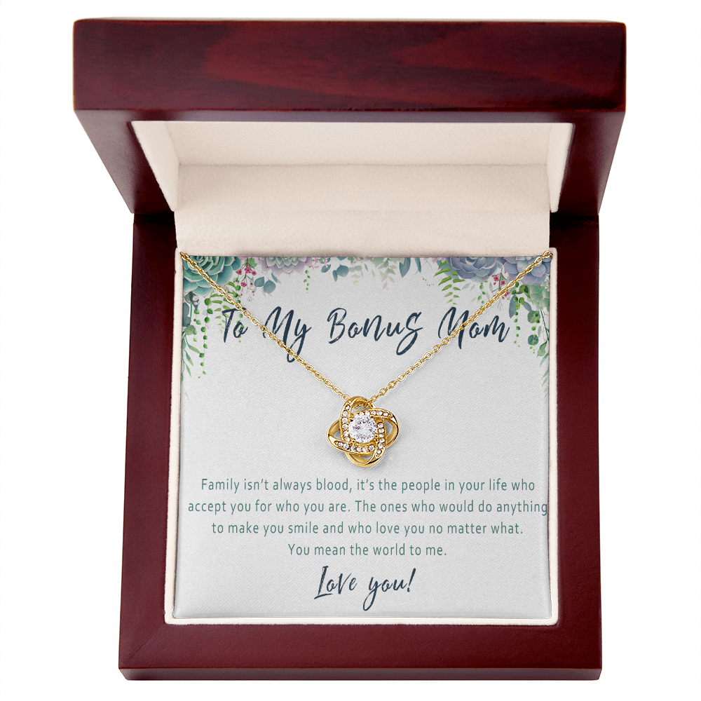 Bonus Mom Necklace – Stepmom Gift from Stepdaughter or Stepson, Sentimental Jewelry Gift Idea for Mother Figure - "Family isn't always blood"