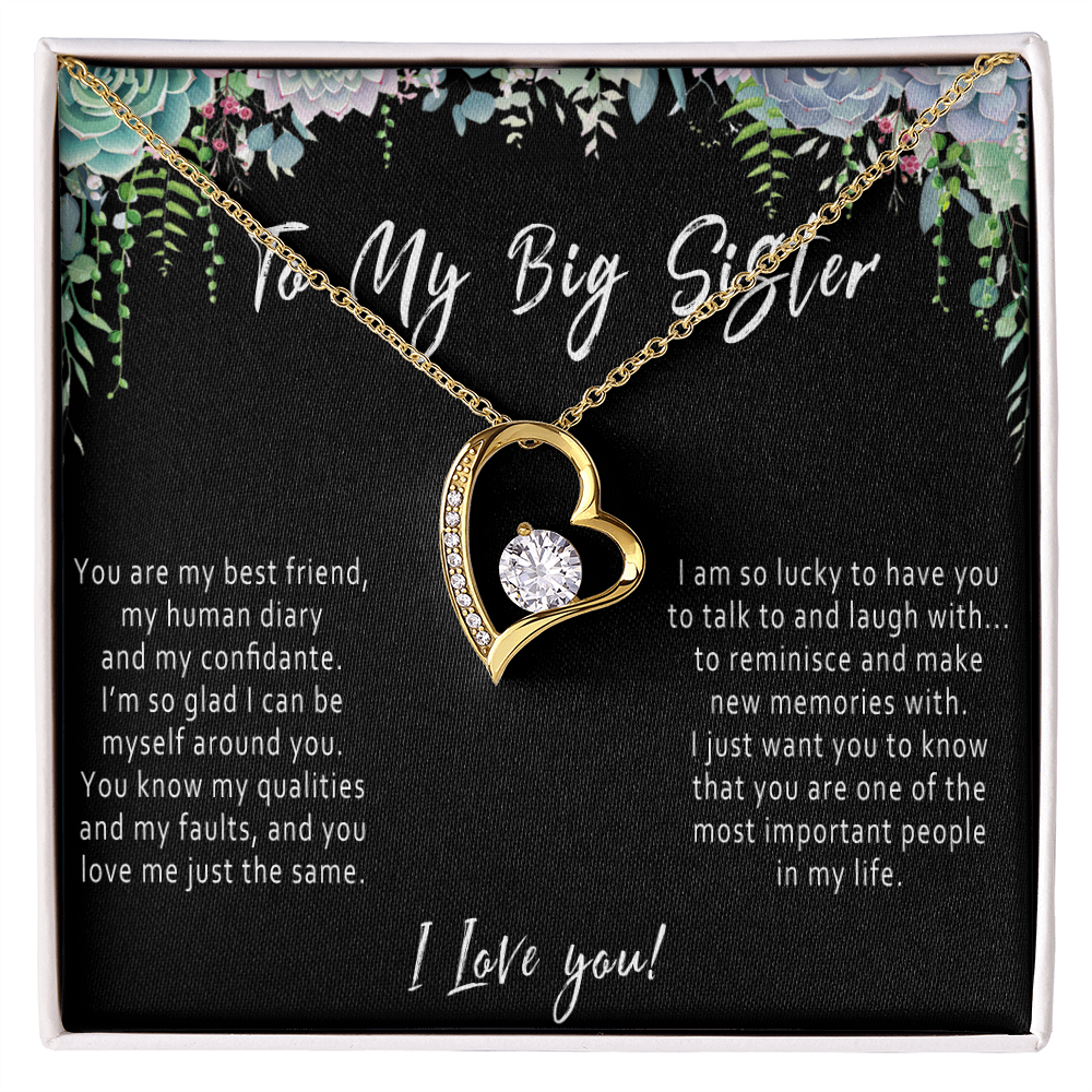 Big Sister Heart Necklace – Meaningful Sister Gift from Little Sister or Little Brother - "You are my best friend, human diary..."