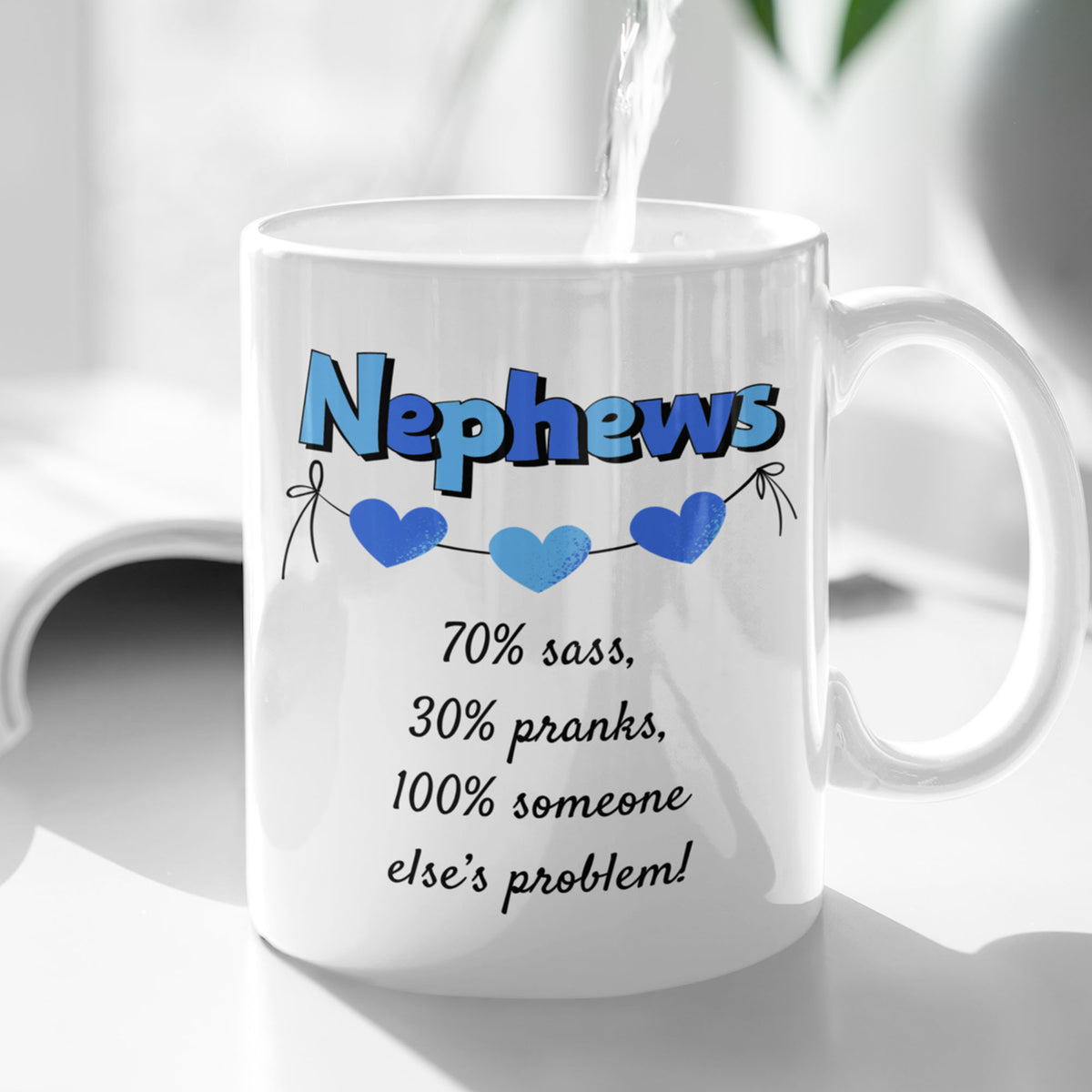 Funny Nephew Gift, Nephew Mug, Gift for Nephew, Nephew Birthday Gift, Funny Family Coffee Mug - Nephews 70% Sass