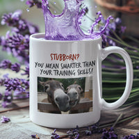 Funny Donkey Mug For Donkey Lovers - "Stubborn, You Mean Smarter" - Funny Gift For Coworker, Donkey Humor Mug, Present For Friend