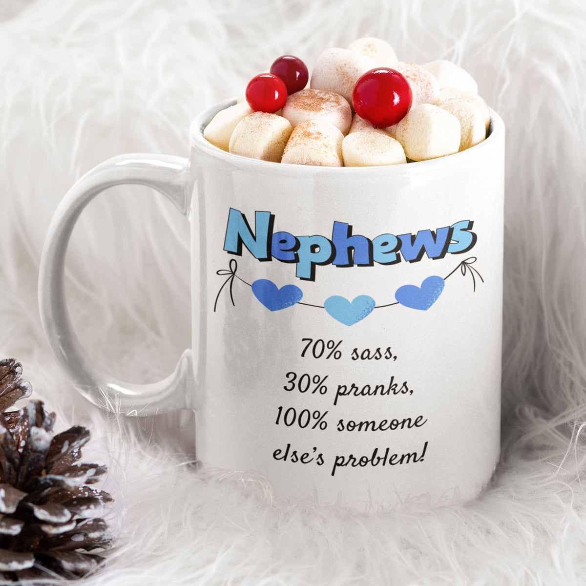 Funny Nephew Gift, Nephew Mug, Gift for Nephew, Nephew Birthday Gift, Funny Family Coffee Mug - Nephews 70% Sass