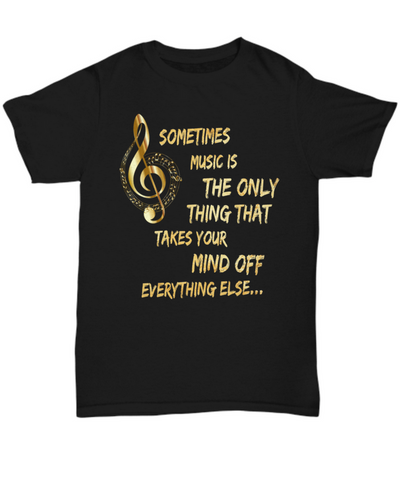 Music Lovers T Shirt - Music Lovers Gift Idea - 