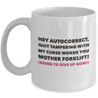 Adult Humor Coffee Mug - Funny Coffee Mug For Women Or Men - "Hey Autocorrect"
