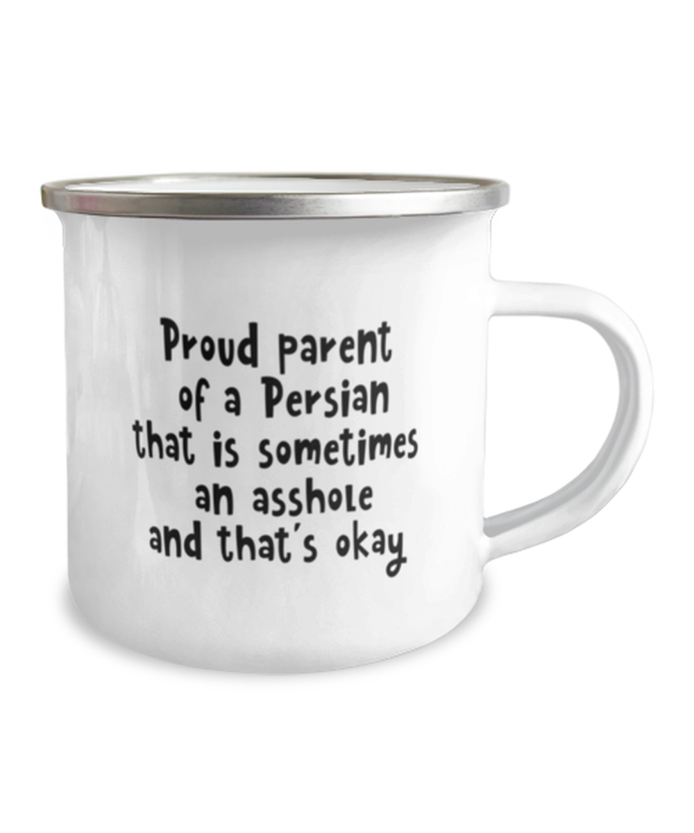 Funny Persian Cat Coffee Mug. Persian Cat Gifts. Funny Cat Lover Gift. Cat Enamel Mug. Cat Birthday Gift. Persian Gifts. Cat Mom. Cat Dad