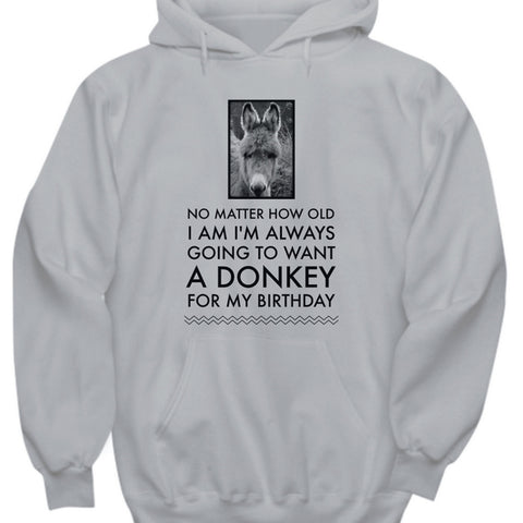 Donkey Hoodie - Donkey Lovers Gift - Donkey Gift For Donkey Lovers - 