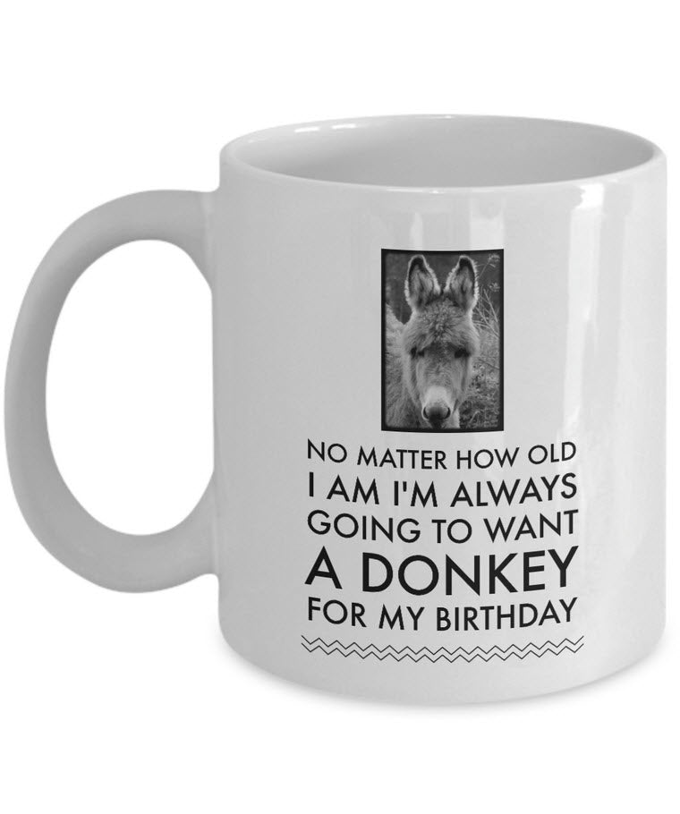 Donkey Mug - Birthday Gift For Donkey Lovers - Donkey Gifts For Women - "No Matter How Old I Am"